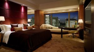 luxury hotel & travel security services