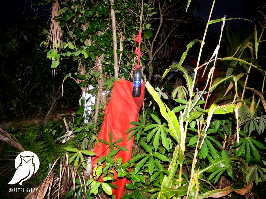 Cults, Vigilantes, Hunters of Nigeria