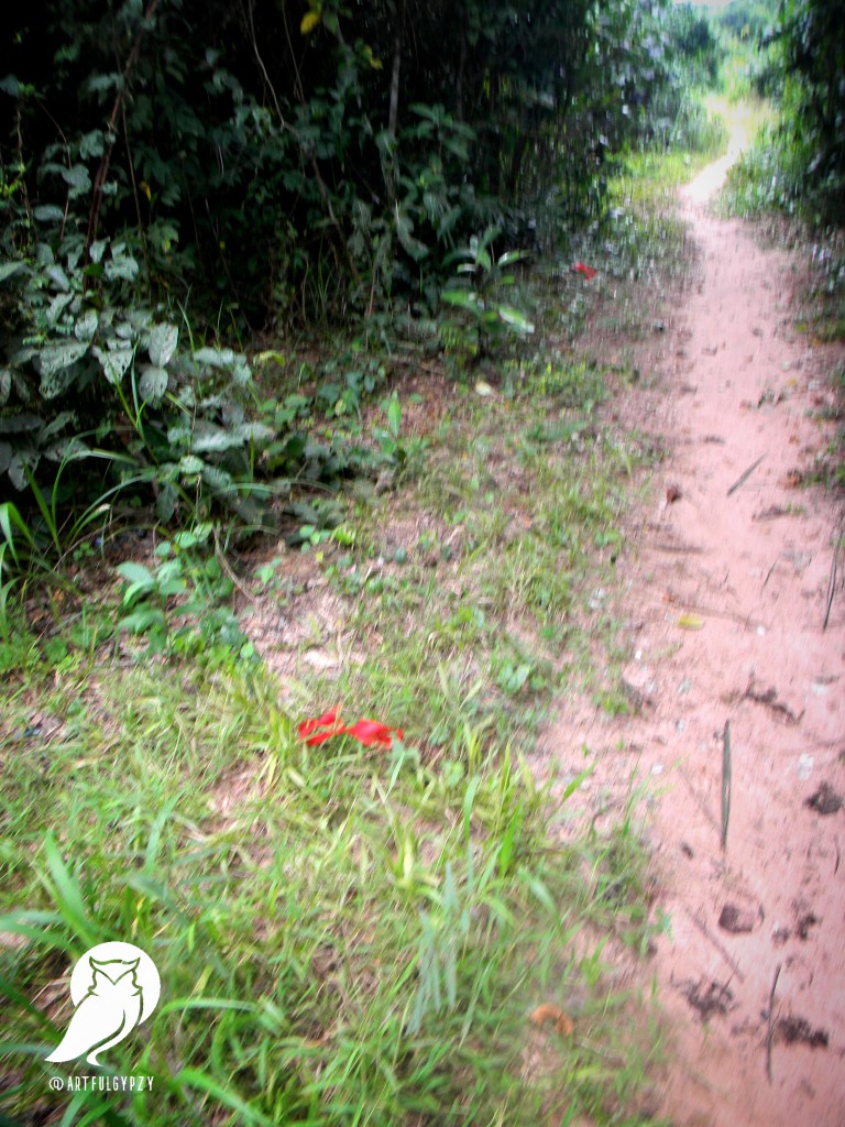 Cults, Vigilantes, Hunters of Nigeria