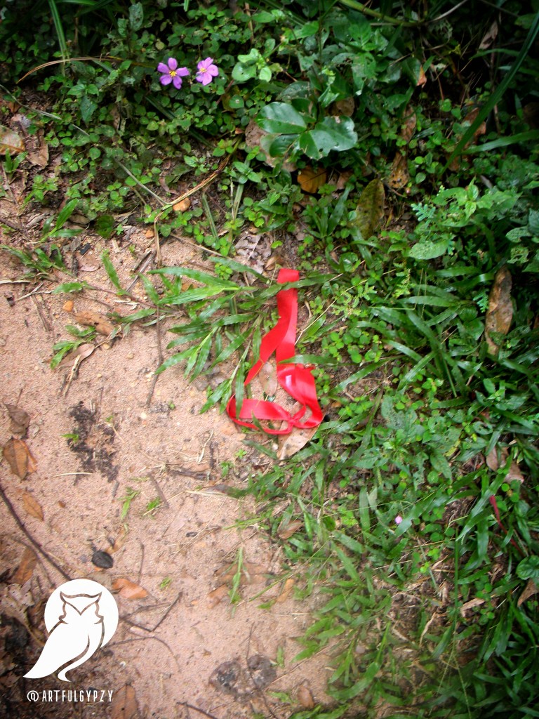 Cults, Vigilantes, Hunters of Nigeria