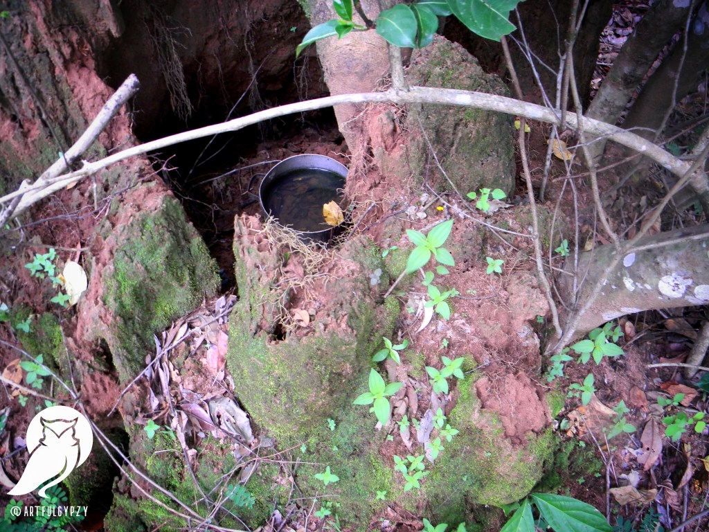 Cults, Vigilantes, Hunters of Nigeria